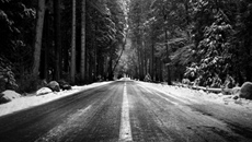 Snowy Road